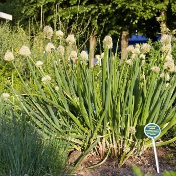 628f199f215acd307a9101a73d3bcb96