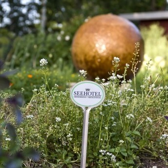 63029c7b215acd307a144d64b60c6531