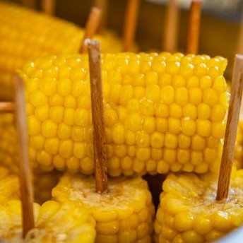 seehotel-bbq-042_53865854950_o