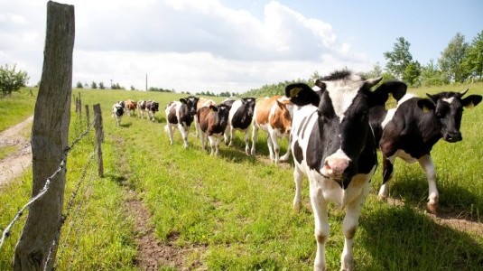 258_DS_medewege__3__c_medewege